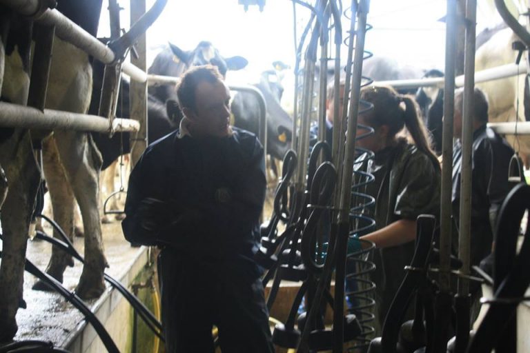 Read more about the article News: FRS – Best Practice in Milking Course