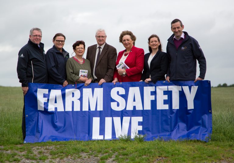 Read more about the article Farm Safety Live at Tullamore Show 2017