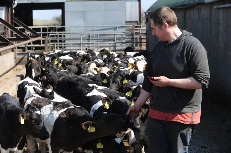 Read more about the article Article: The Apps that are keeping the Irish farmers content