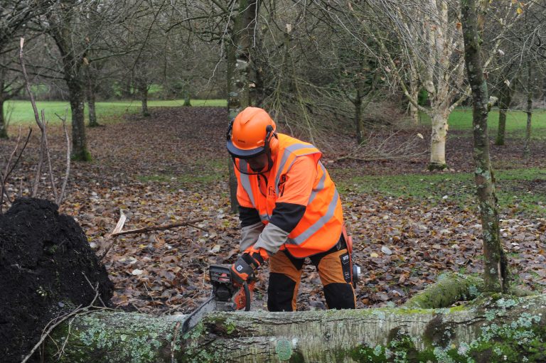 chainsaw-training-safety