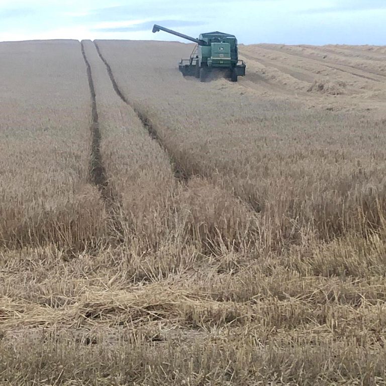 harvesting-tillage-combine