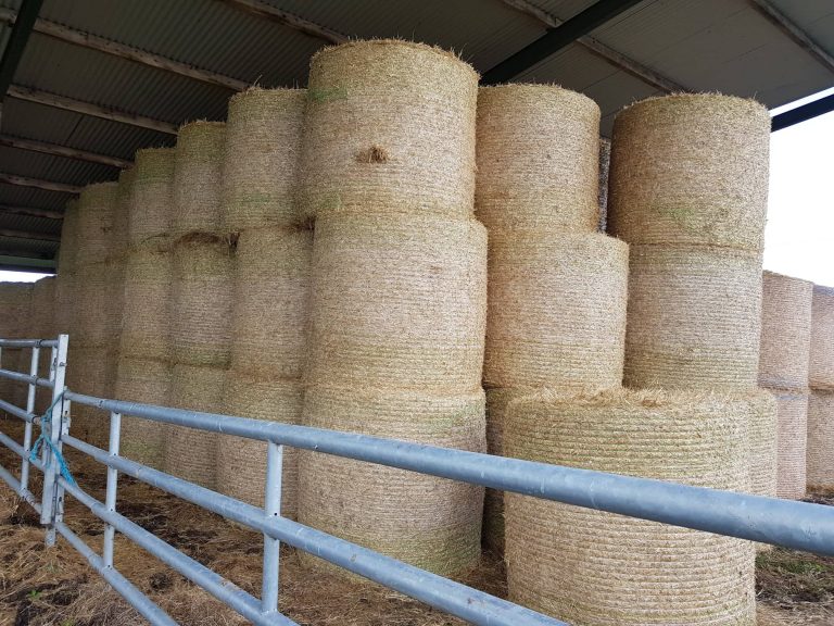 Read more about the article Alternative Forms Of Bedding Due To Straw Shortage