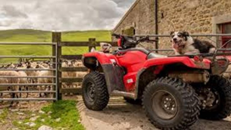 Read more about the article ATV Operation, Maintenance and Safety Training