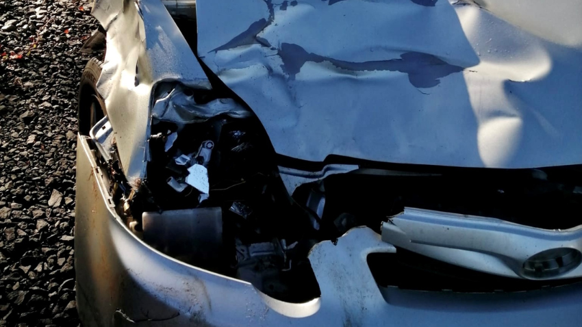 Road accident caused by Deer