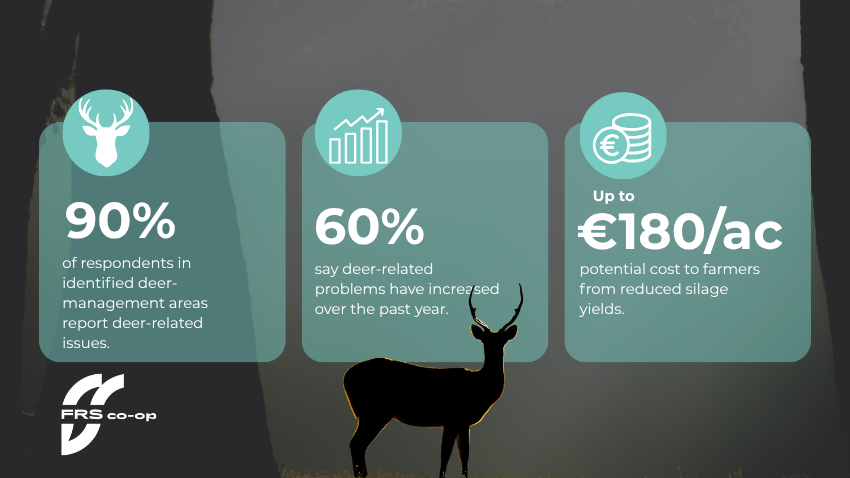 Deer survey 2026